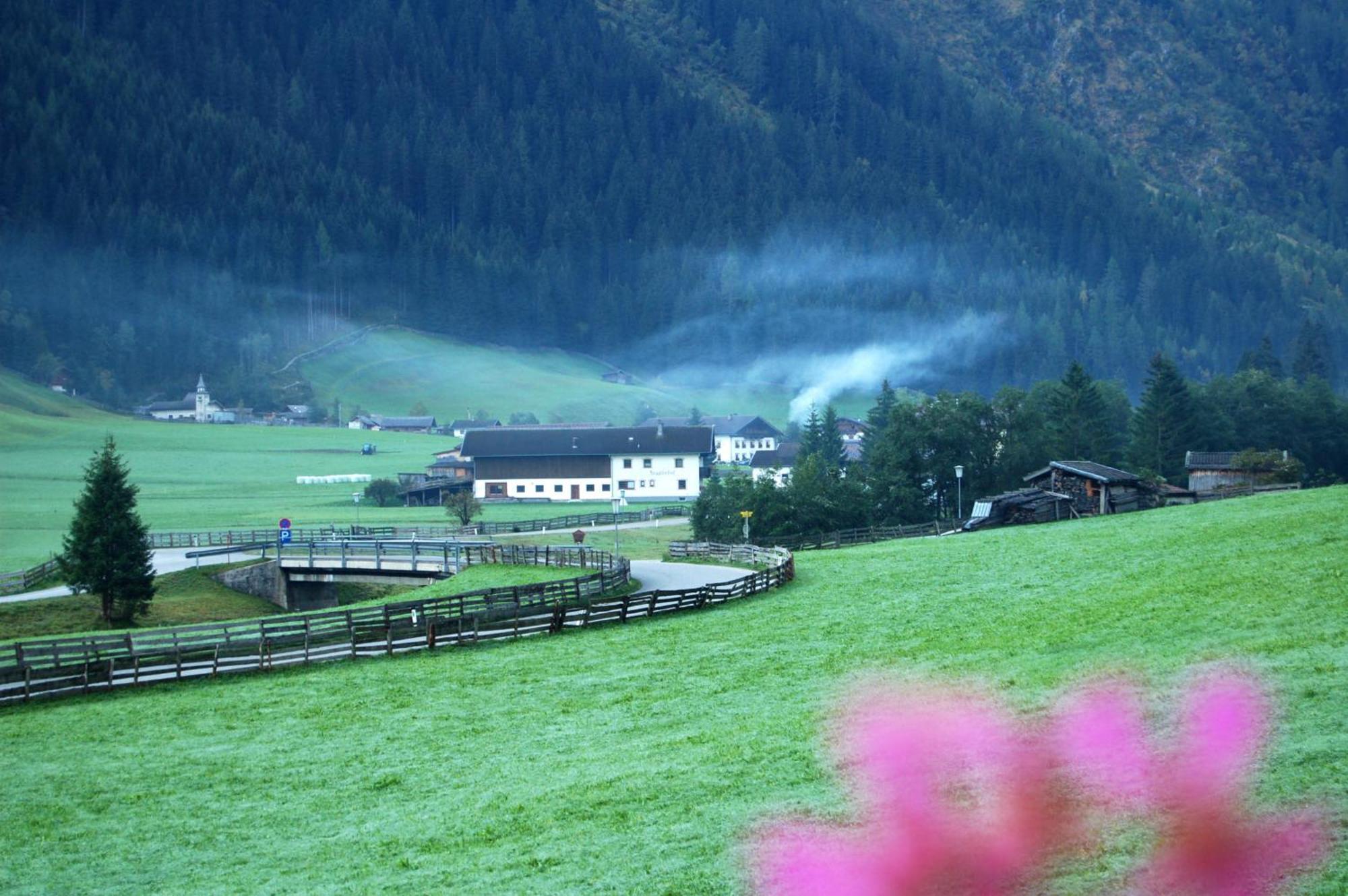 Alfaierhof-bergheimat 4* Gschnitz